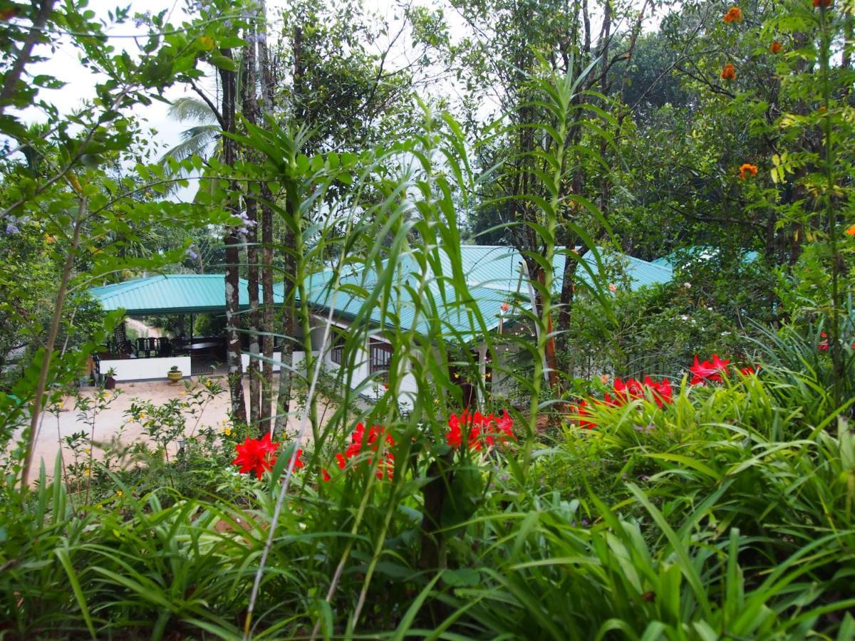 Tearamb Holiday Bungalow Otalawa Extérieur photo