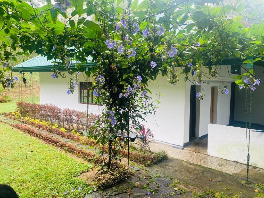 Tearamb Holiday Bungalow Otalawa Extérieur photo